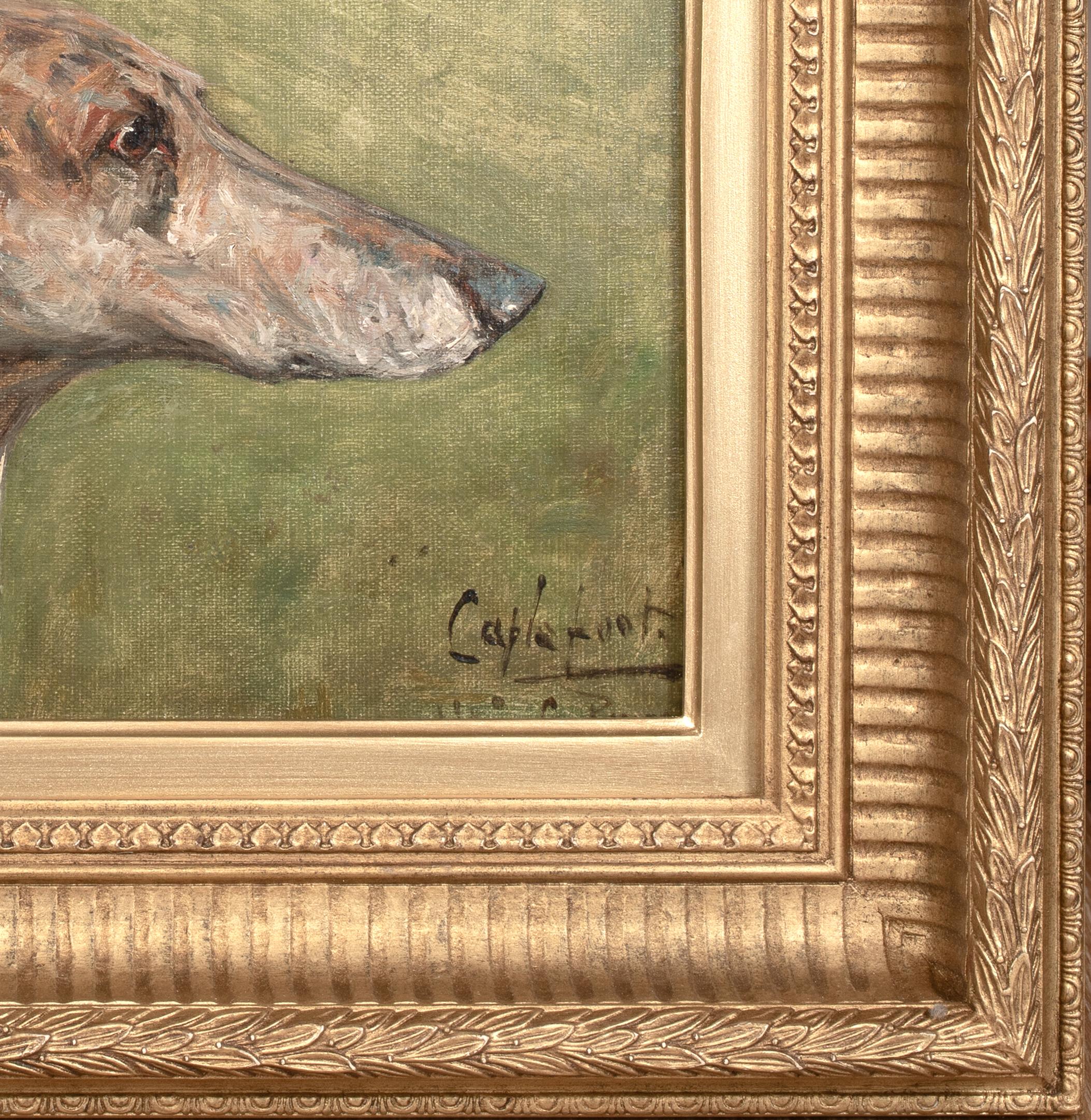 Retrato del galgo campeón 