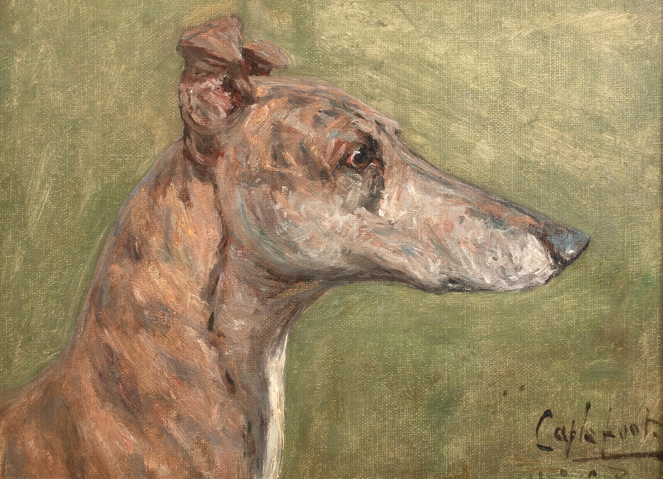 Retrato del galgo campeón 