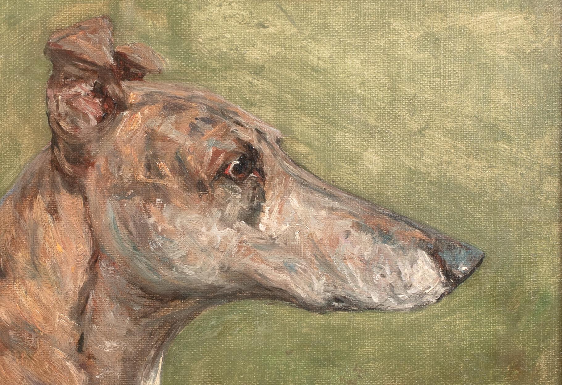 Retrato del galgo campeón 