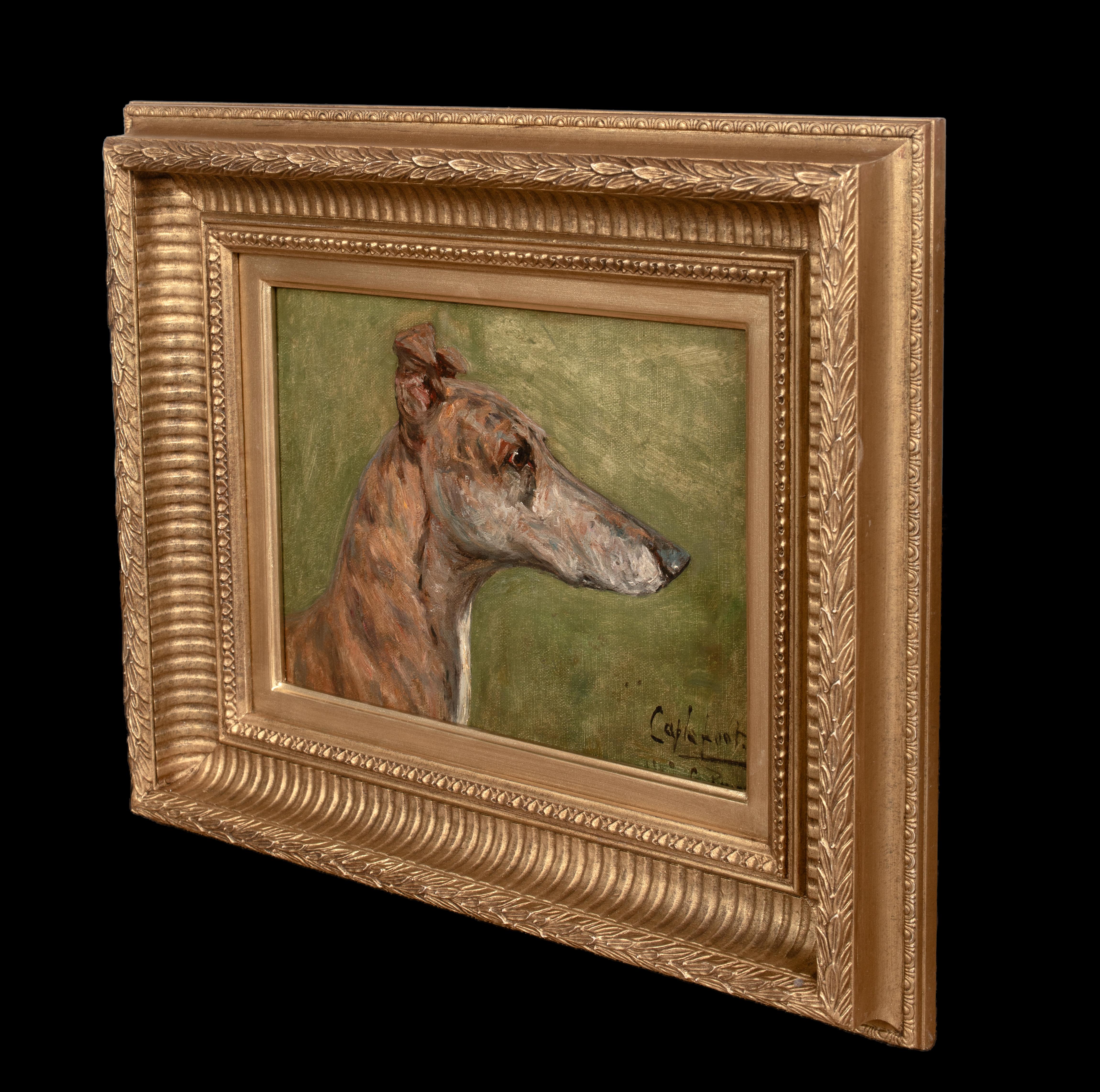Retrato del galgo campeón 