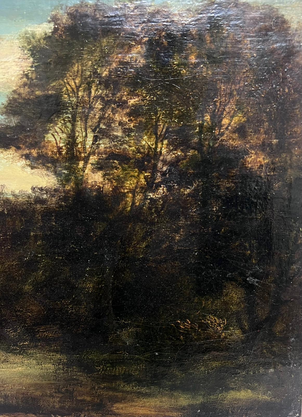 George Petrie (1790-1866) - Paisaje romántico irlandés, Óleo sobre lienzo

Este cautivador óleo sobre lienzo del renombrado artista irlandés George Petrie, a menudo llamado el 