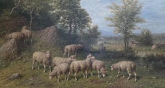 Sheep in Pasture