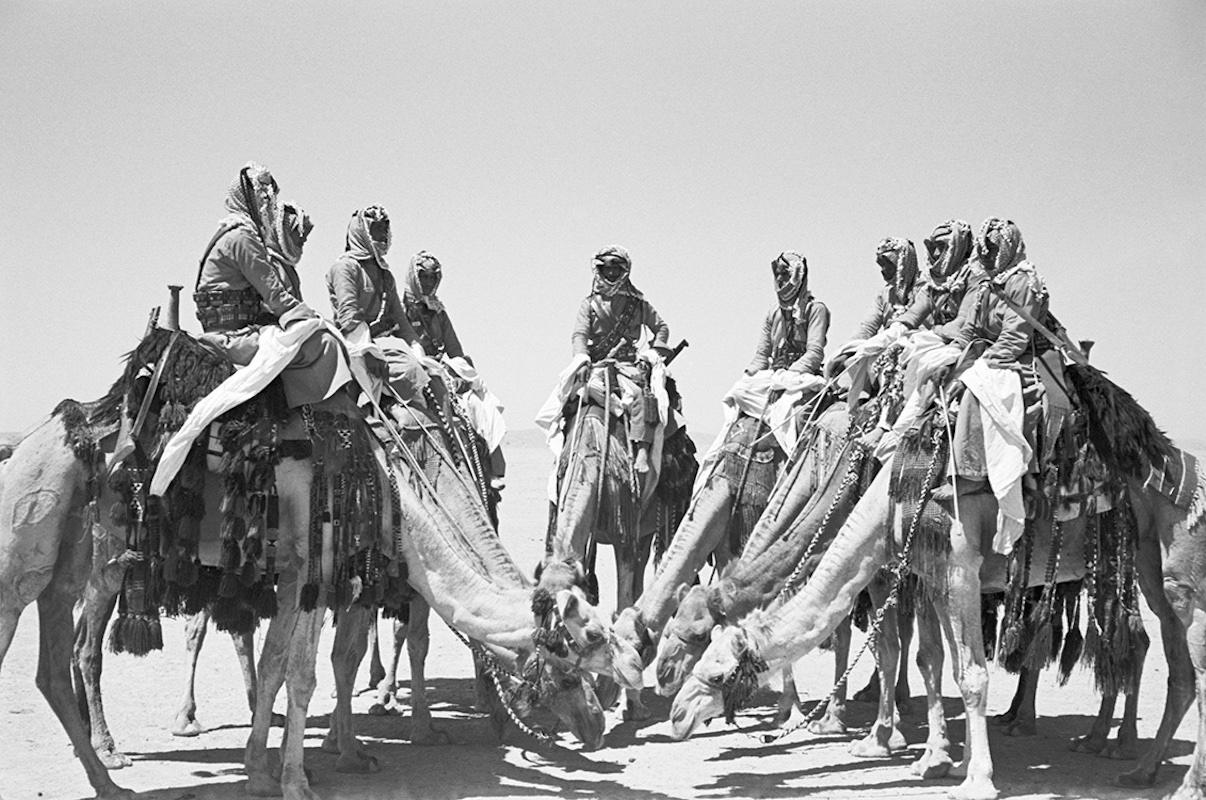 Soldaten der Wüstenpatrouille der Arabischen Legion auf ihren Kamelen etwa hundert Kilometer vor Amman, Fort Mufrak, Transjordanien, 1941

Alle verfügbaren Größen und Ausgaben:
16" x 20", Auflagenhöhe 25
30 "x 40", Auflagenhöhe 25
40" x 60",