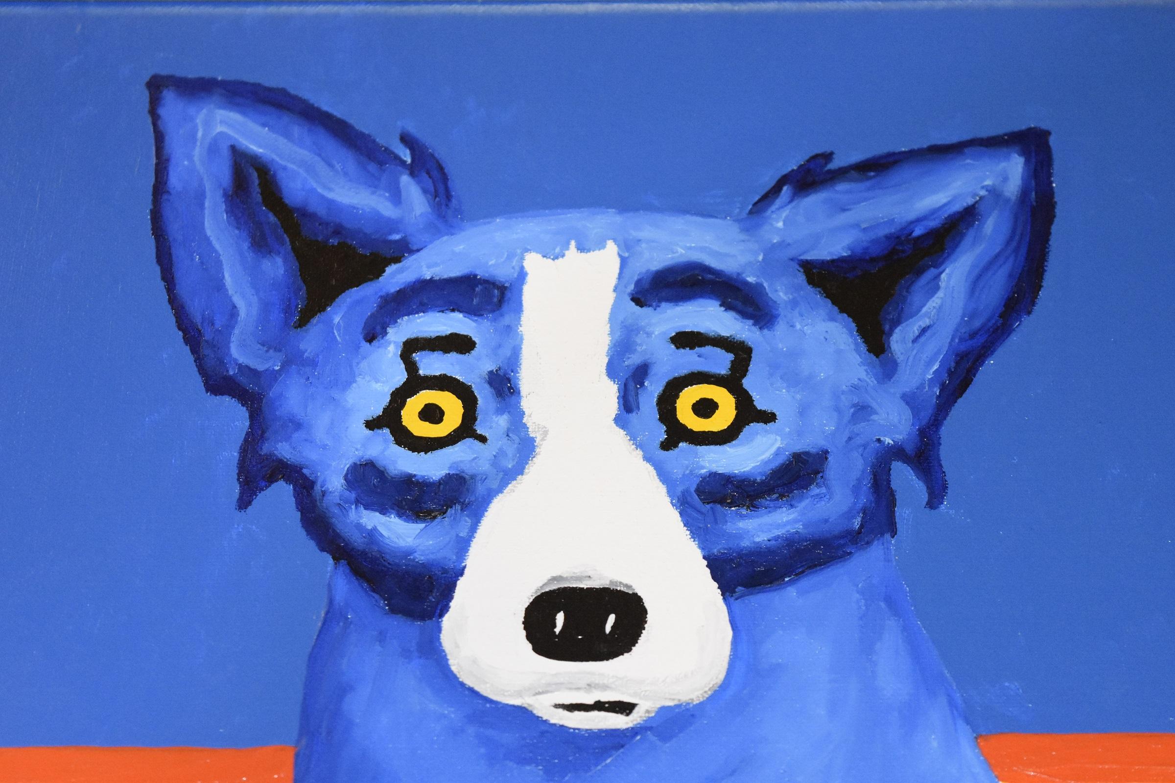 yellow and blue dog