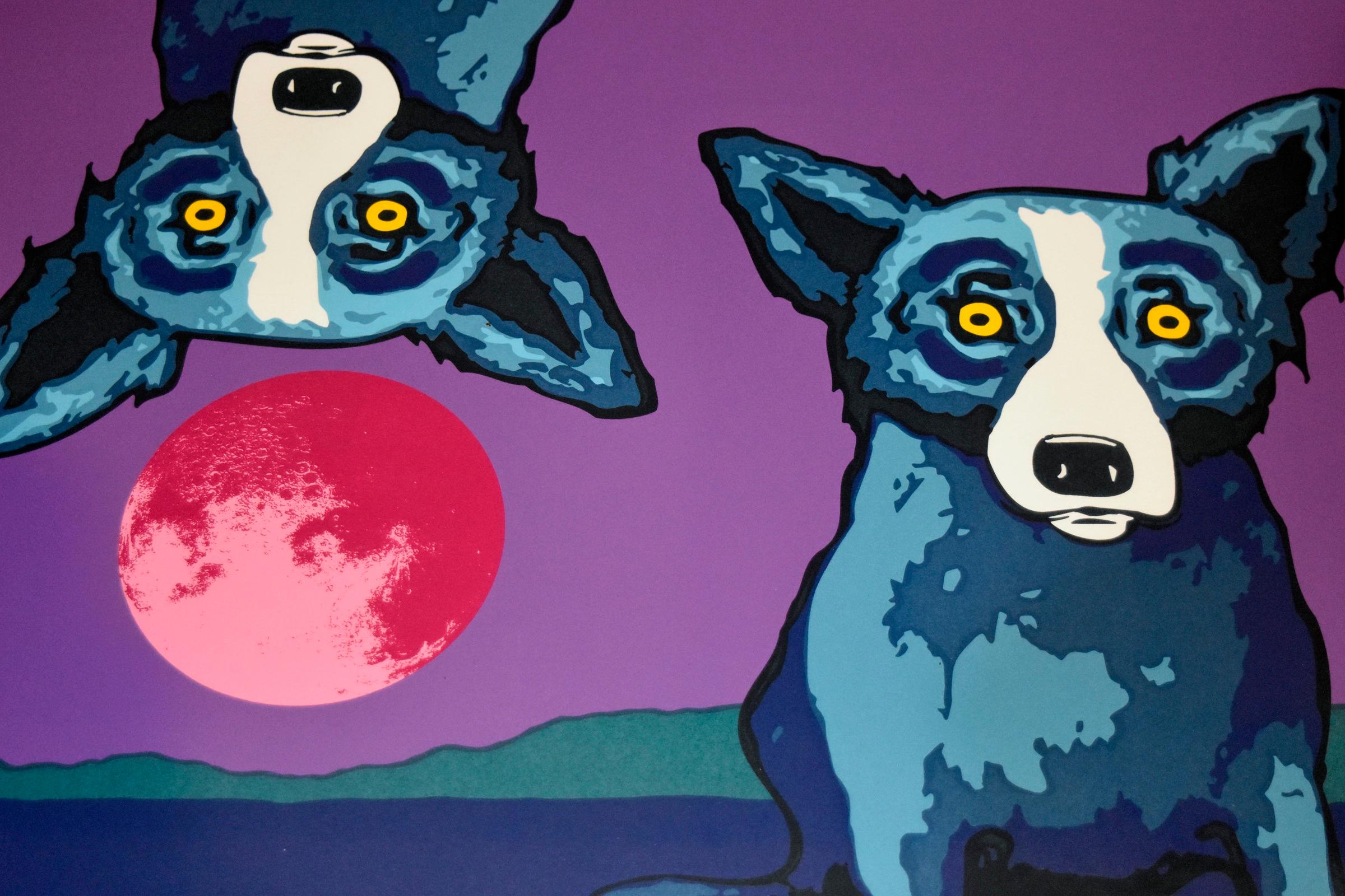 Blue Dog 