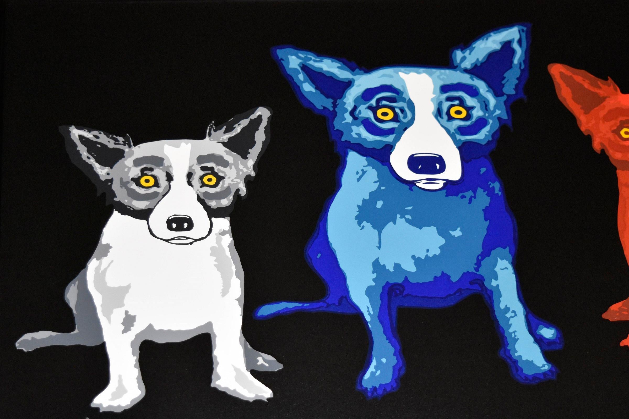 bluedog brand