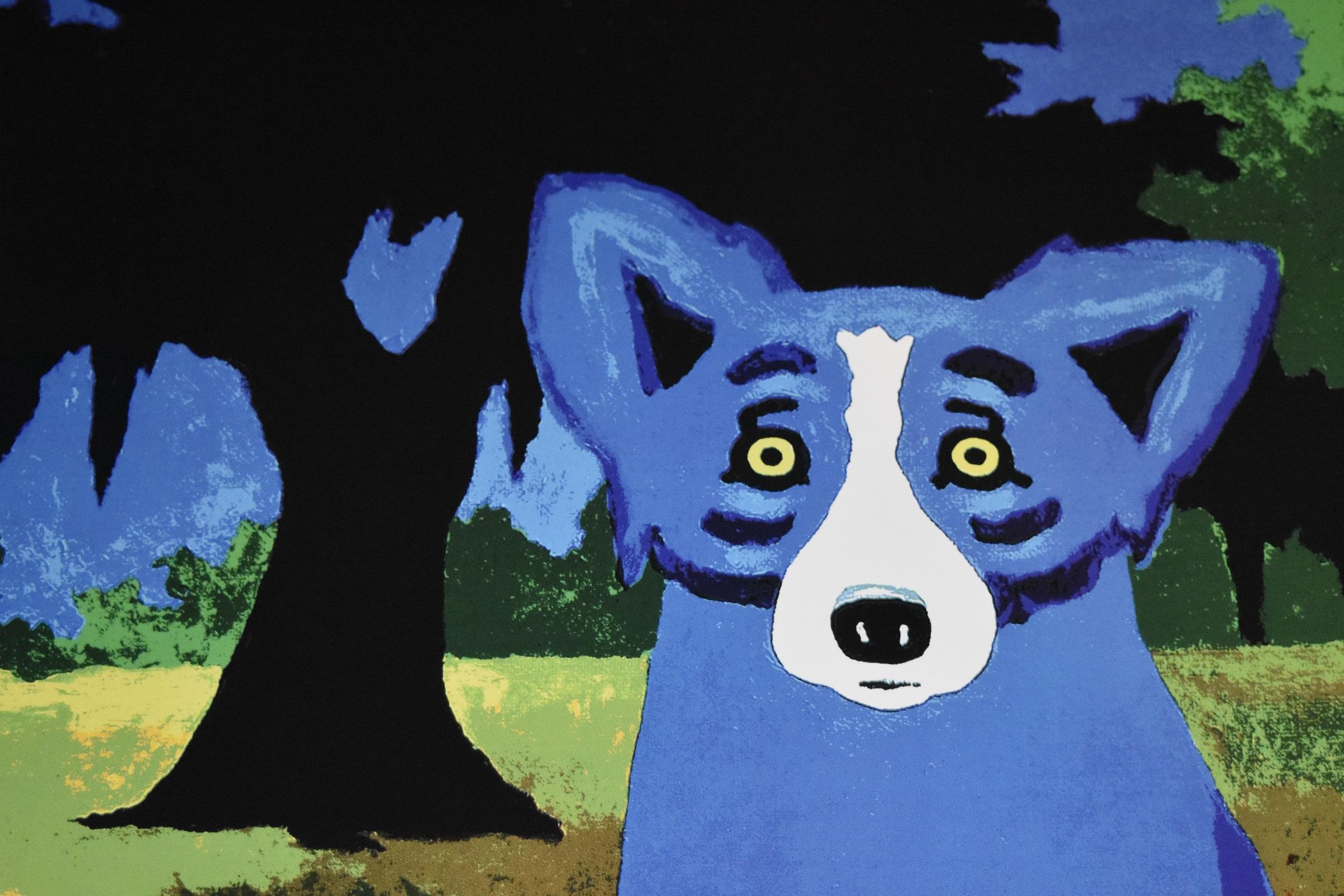 new orleans blue dog