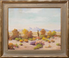 Untitled (Superstition Wilderness, Arizona Desert Scene)