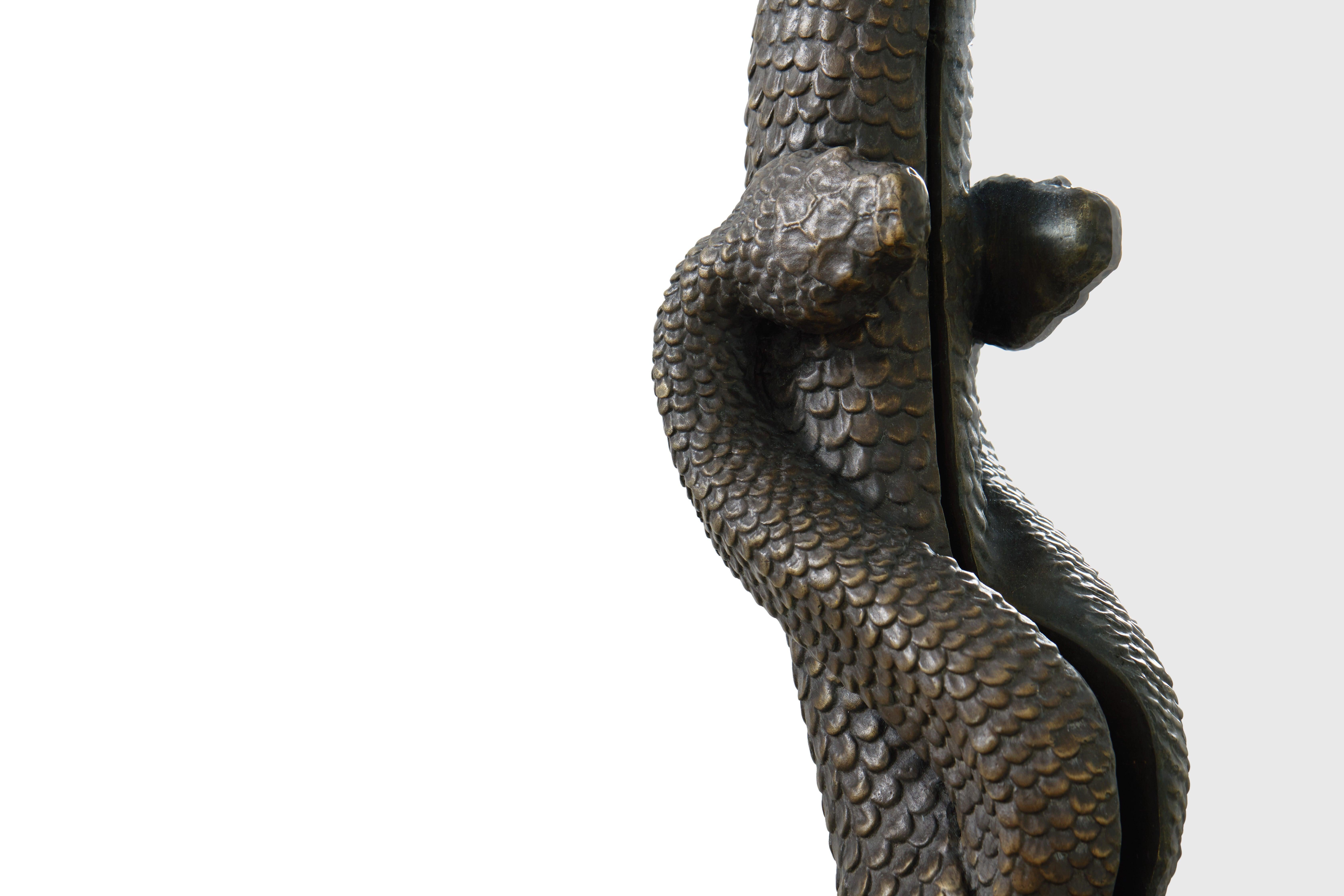 snake mirror