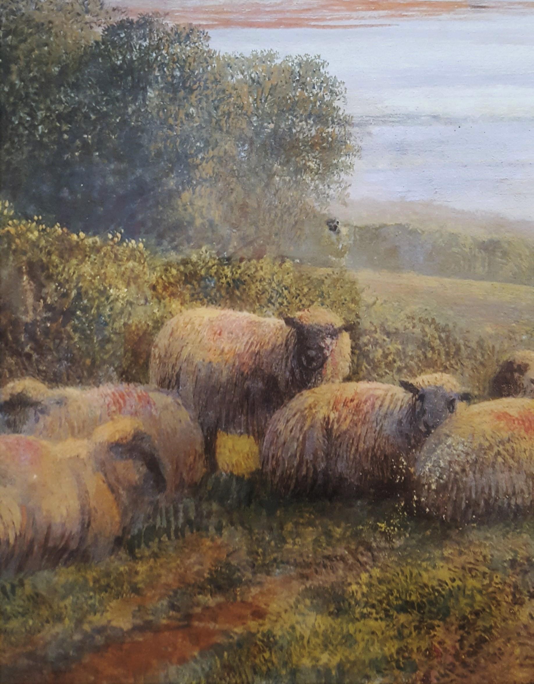 Sheep in Landscape at Dusk 3