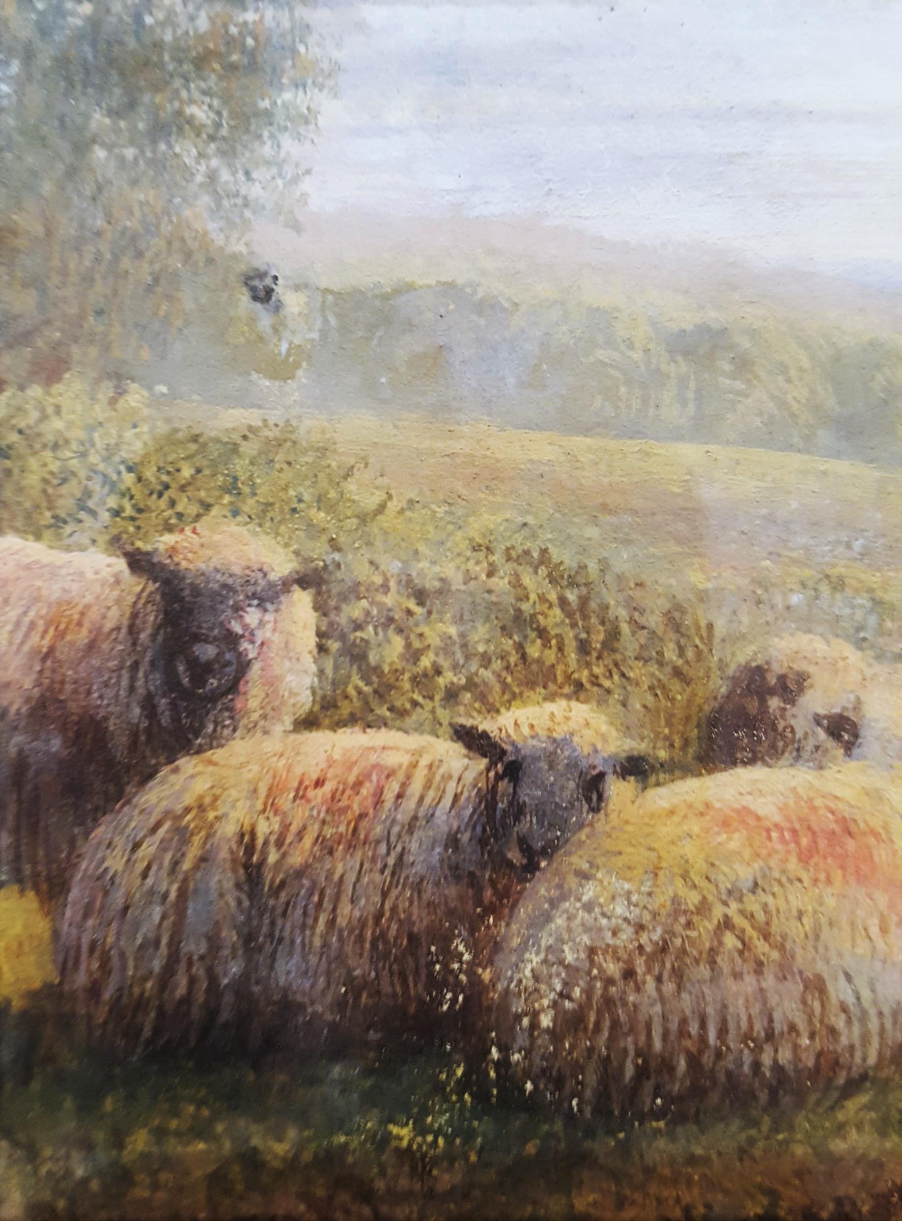 Sheep in Landscape at Dusk 4
