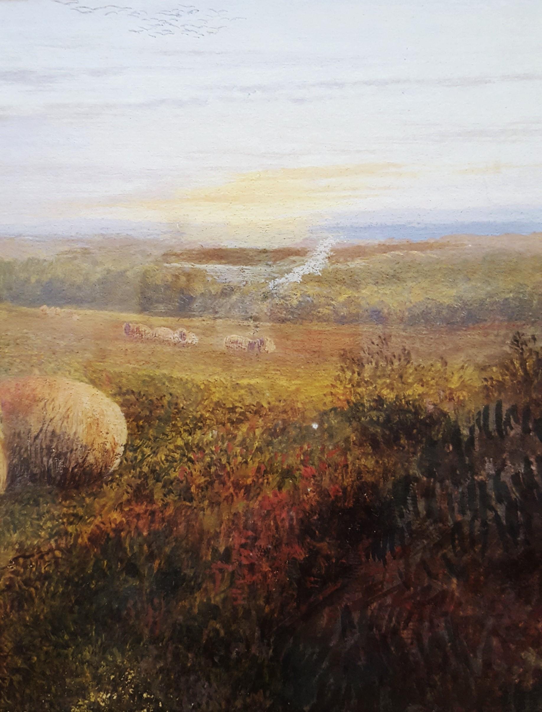 Sheep in Landscape at Dusk 5