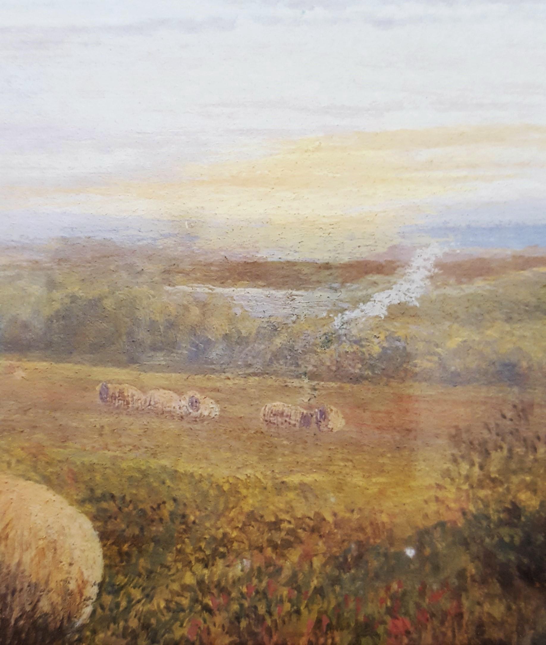 Sheep in Landscape at Dusk 6