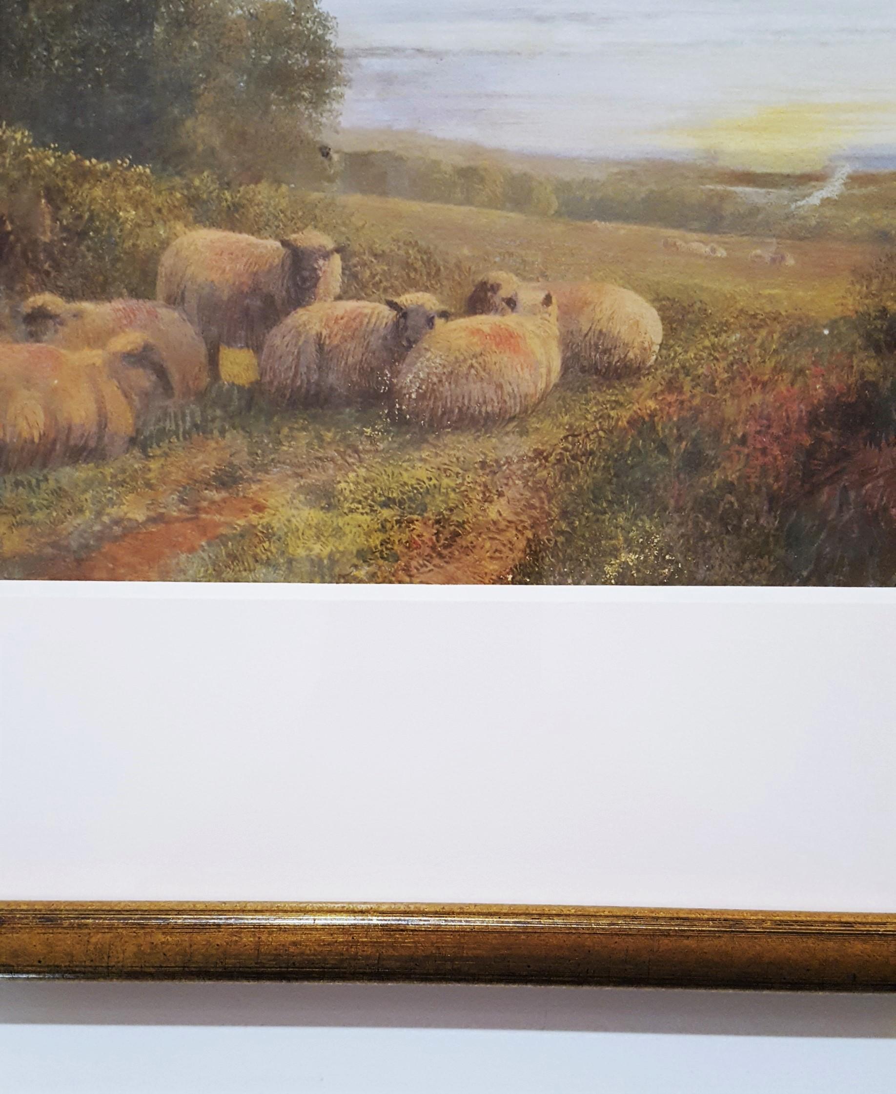 Sheep in Landscape at Dusk 1