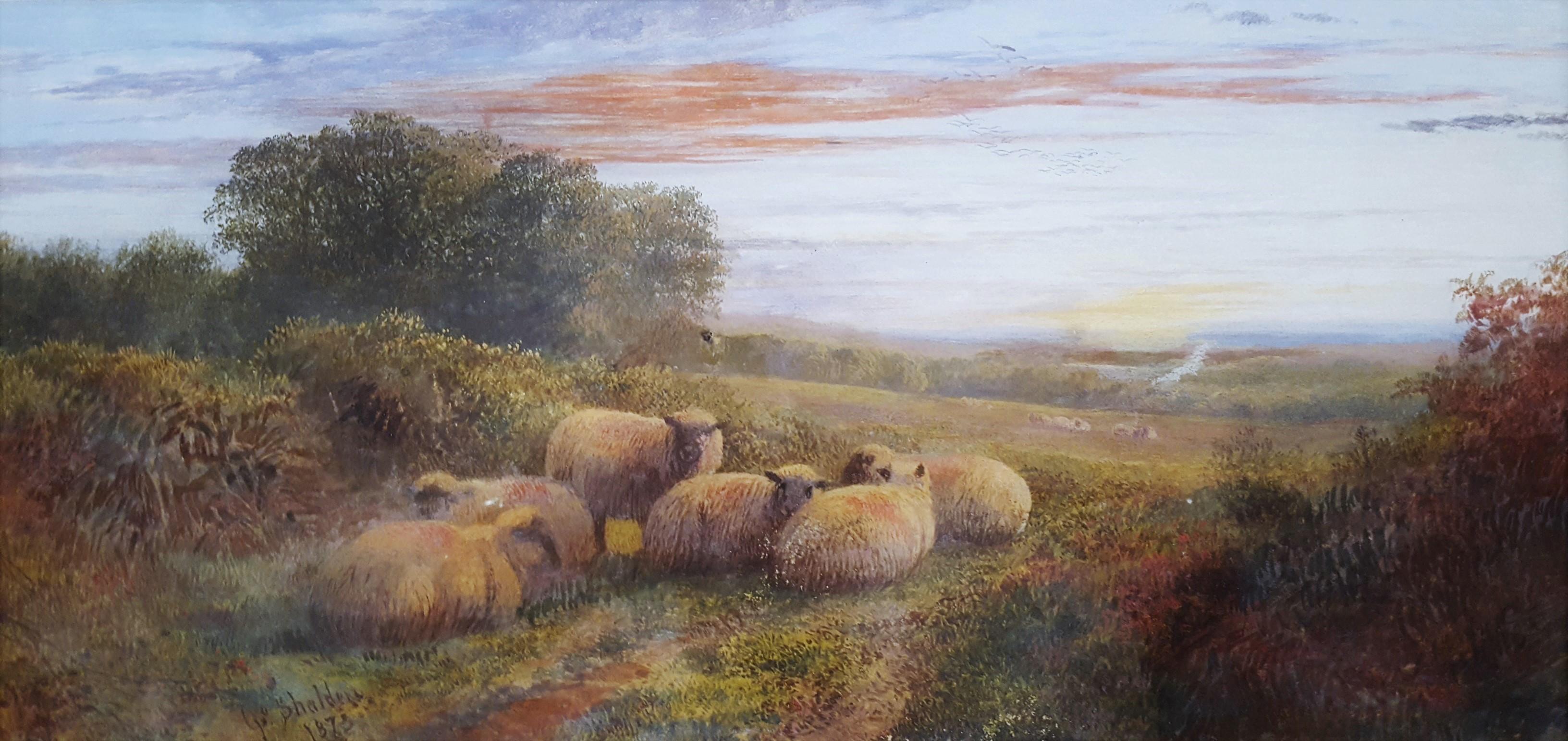 George Shalders Animal Painting - Sheep in Landscape at Dusk