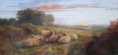 Sheep in Landscape at Dusk