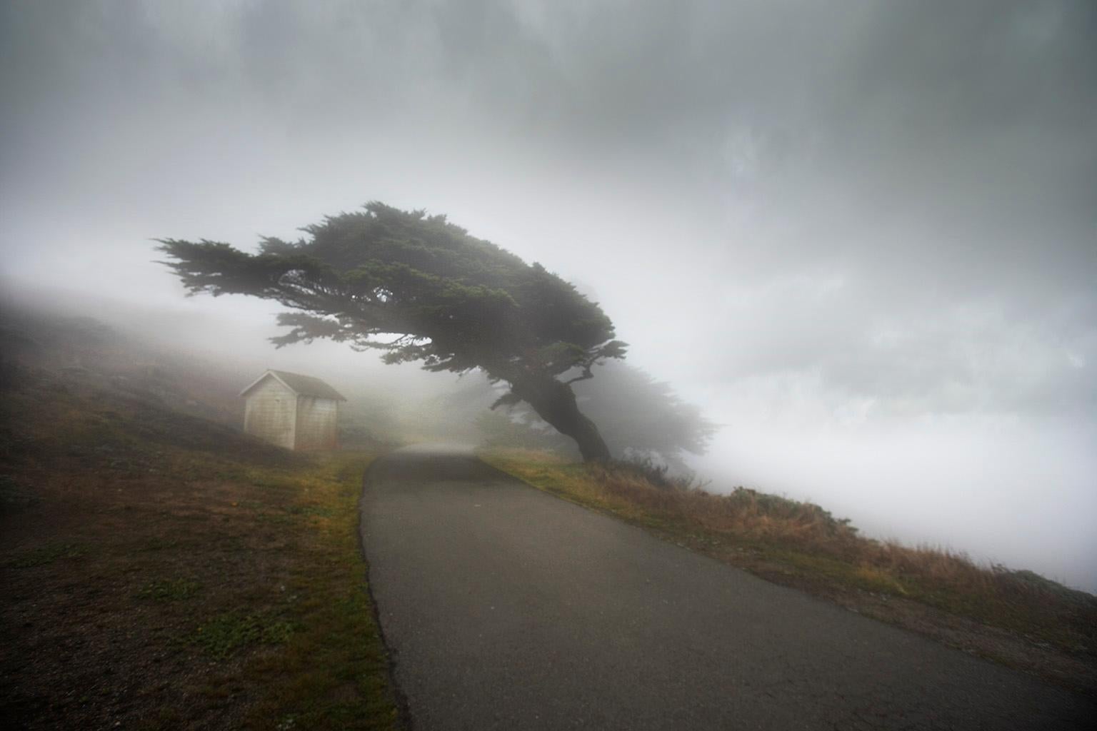 George Simhoni Landscape Photograph - Californoa Fog