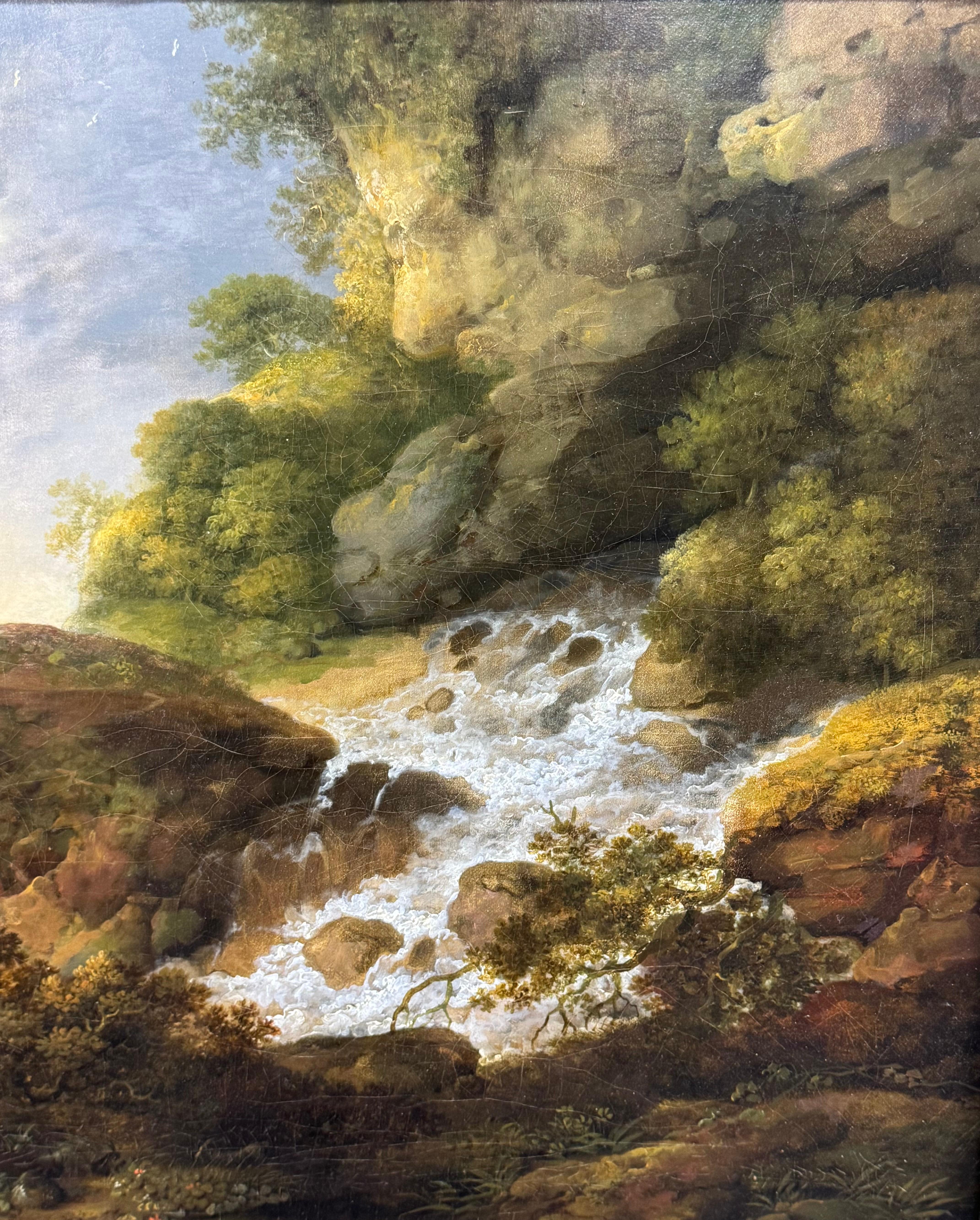 Landschaft mit Gänseblümchen in der Nähe eines Wasserfalles im Angebot 4