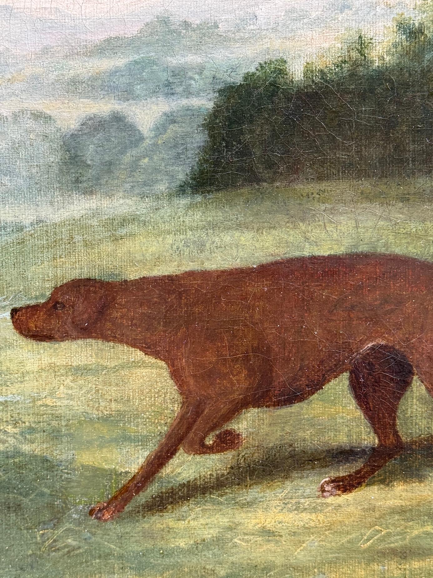 19th century English portrait of a Gun dog, hound in an English garden landscape - Brown Landscape Painting by George Stubbs