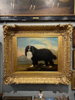 A King Charles Spaniel in a landscape