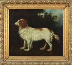 Vintage English 18th century portrait of a water spaniel dog standing in a landscape