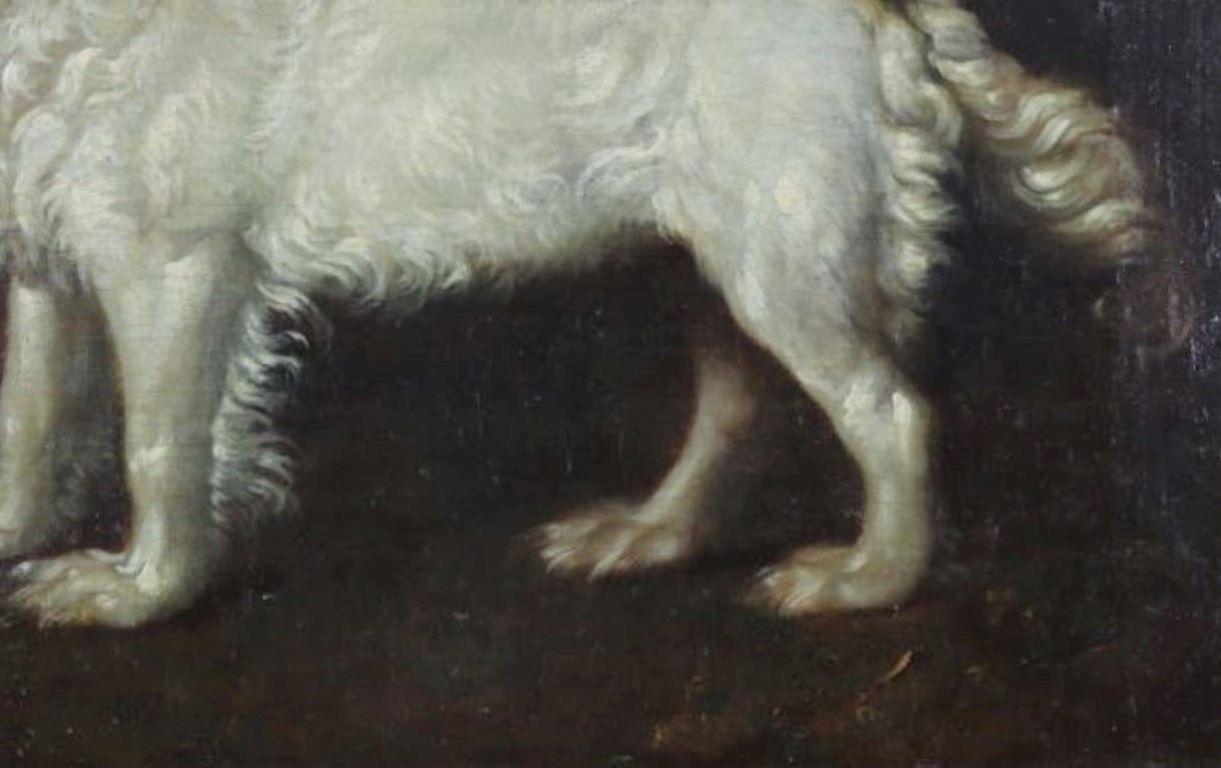 Portrait anglais du 18e siècle d'un chien épagneul d'eau debout dans un paysage - Noir Animal Painting par George Stubbs