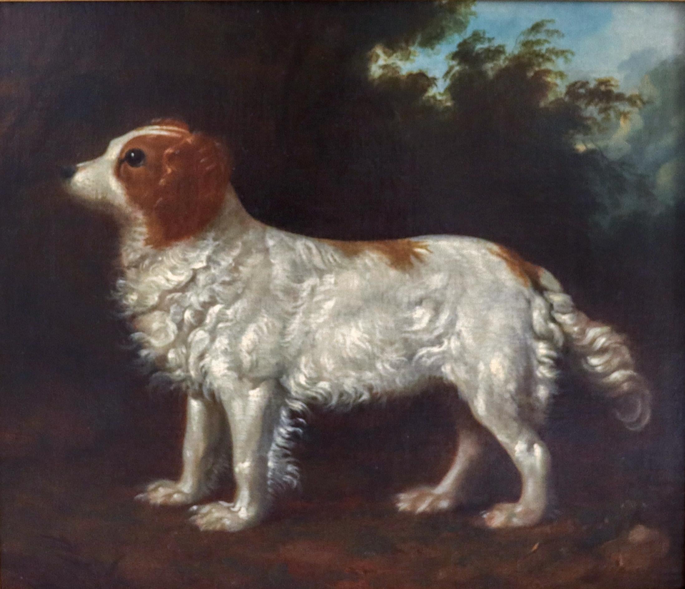 English 18th century portrait of a water spaniel dog standing in a landscape - Painting by George Stubbs