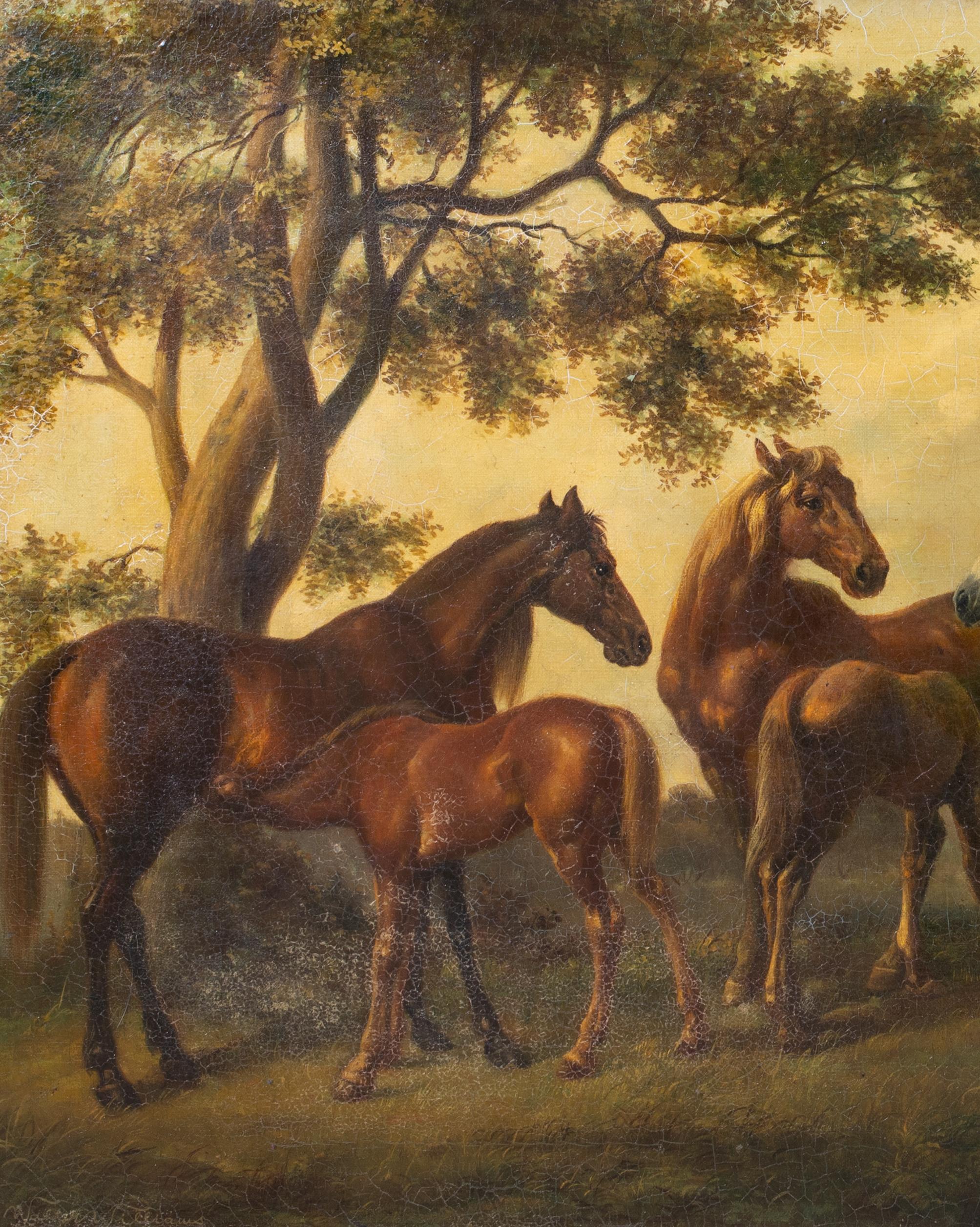Horses In A Field, 18th/19th Century

after GEORGE STUBBS (1724-1806)

Large 18th/19th Century English scene of horses in a field, oil on canvas. Excellent quality work that would be enhanced with a professional clean of various horses and foals