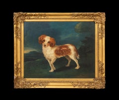 Portrait of a King Charles Spaniel, 18th Century CIRLCE OF George STUBBS