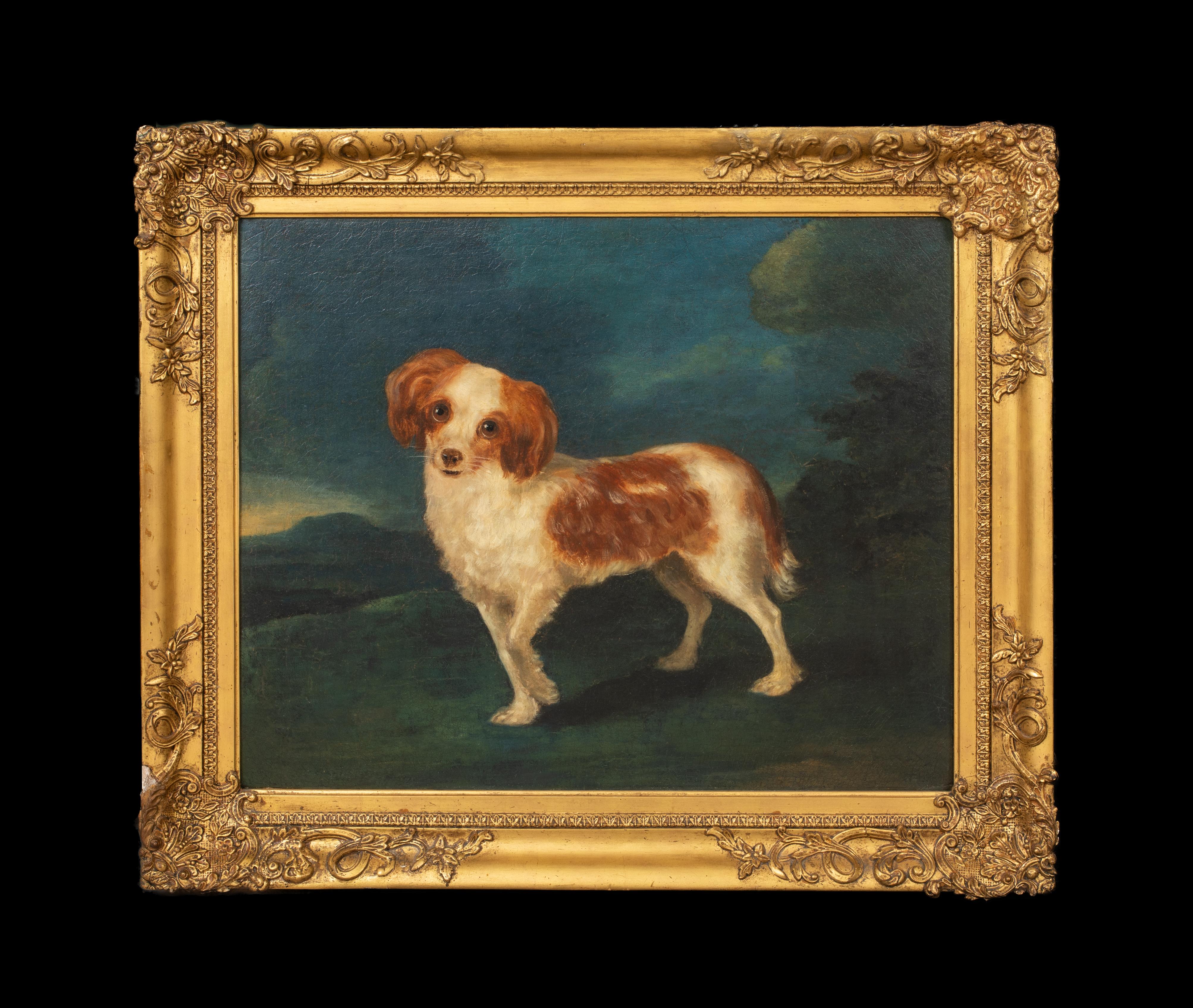 Porträt eines Königs Charles Spaniels, 18. Jahrhundert  CIRLCE OF George STUBBS – Painting von George Stubbs