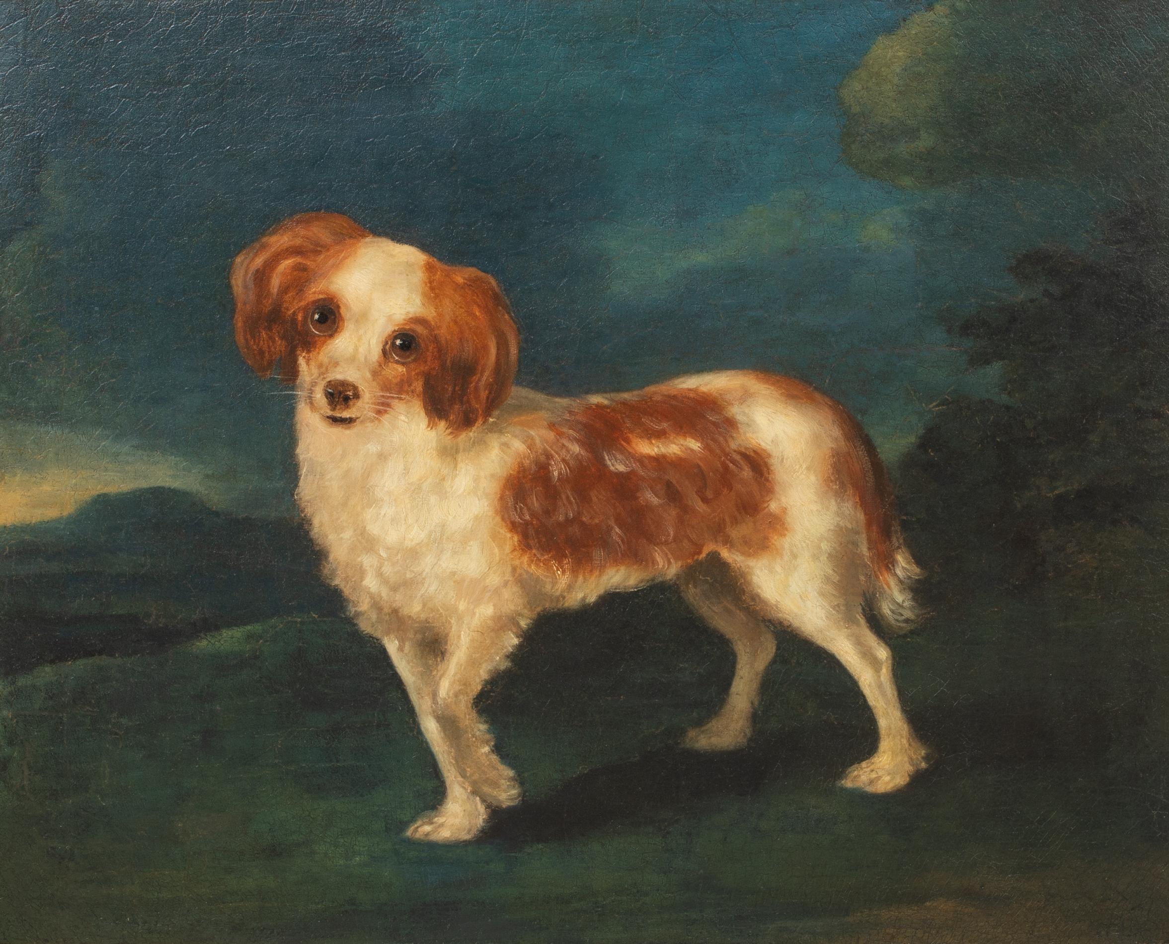 Porträt eines Königs Charles Spaniels, 18. Jahrhundert  CIRLCE OF George STUBBS (Schwarz), Animal Painting, von George Stubbs