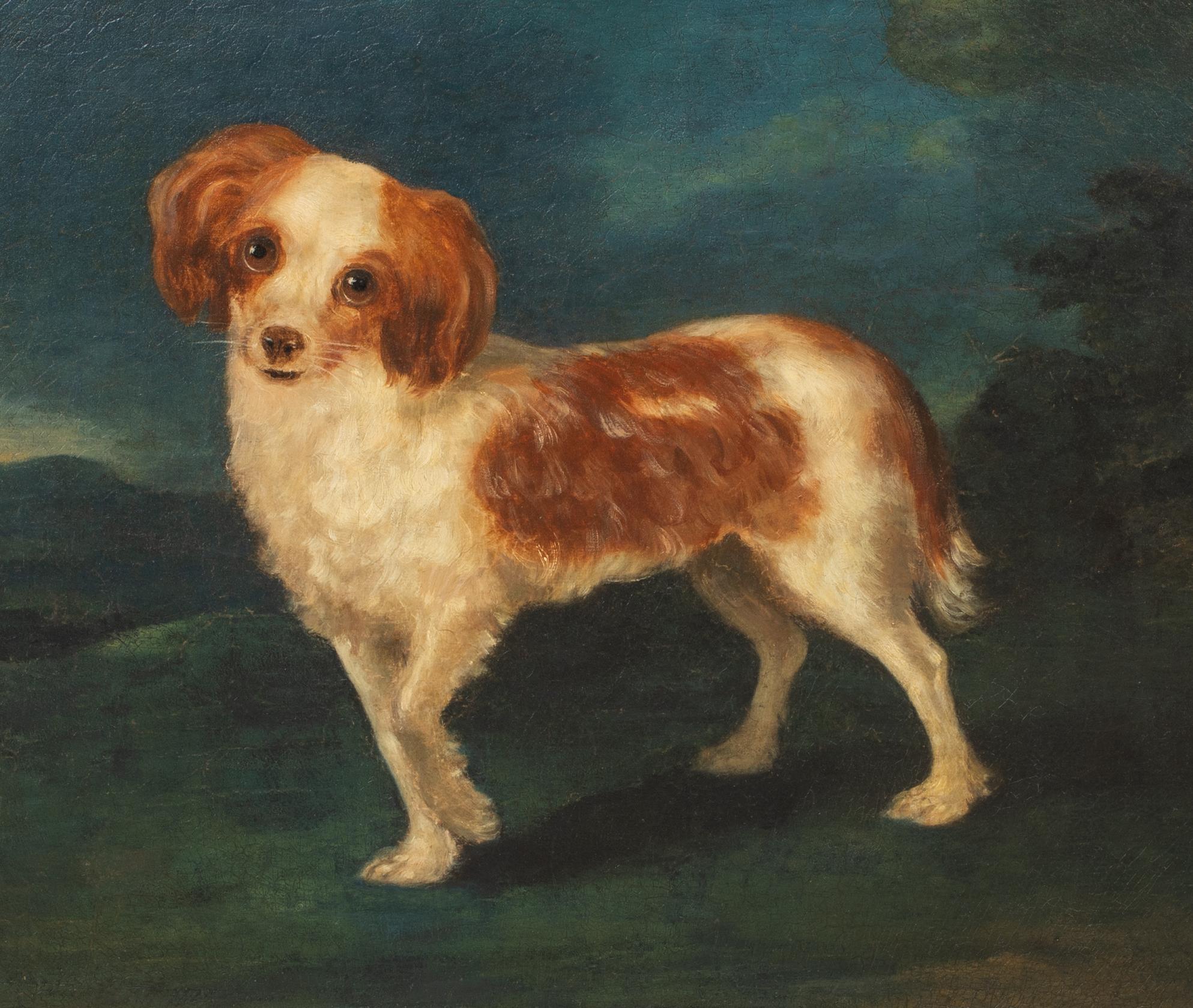 Porträt eines Königs Charles Spaniels, 18. Jahrhundert  CIRLCE OF George STUBBS im Angebot 1