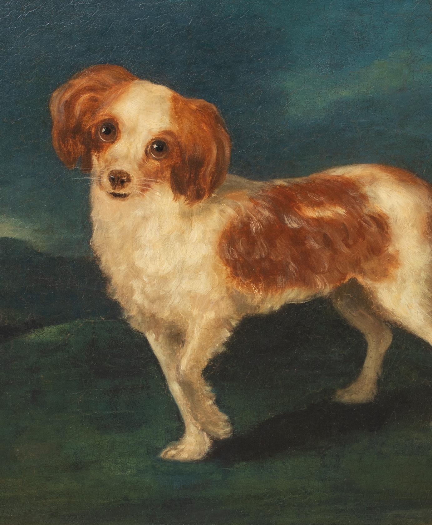 Porträt eines Königs Charles Spaniels, 18. Jahrhundert  CIRLCE OF George STUBBS im Angebot 2