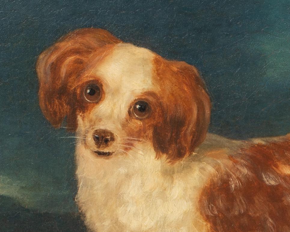 Porträt eines Königs Charles Spaniels, 18. Jahrhundert  CIRLCE OF George STUBBS im Angebot 3