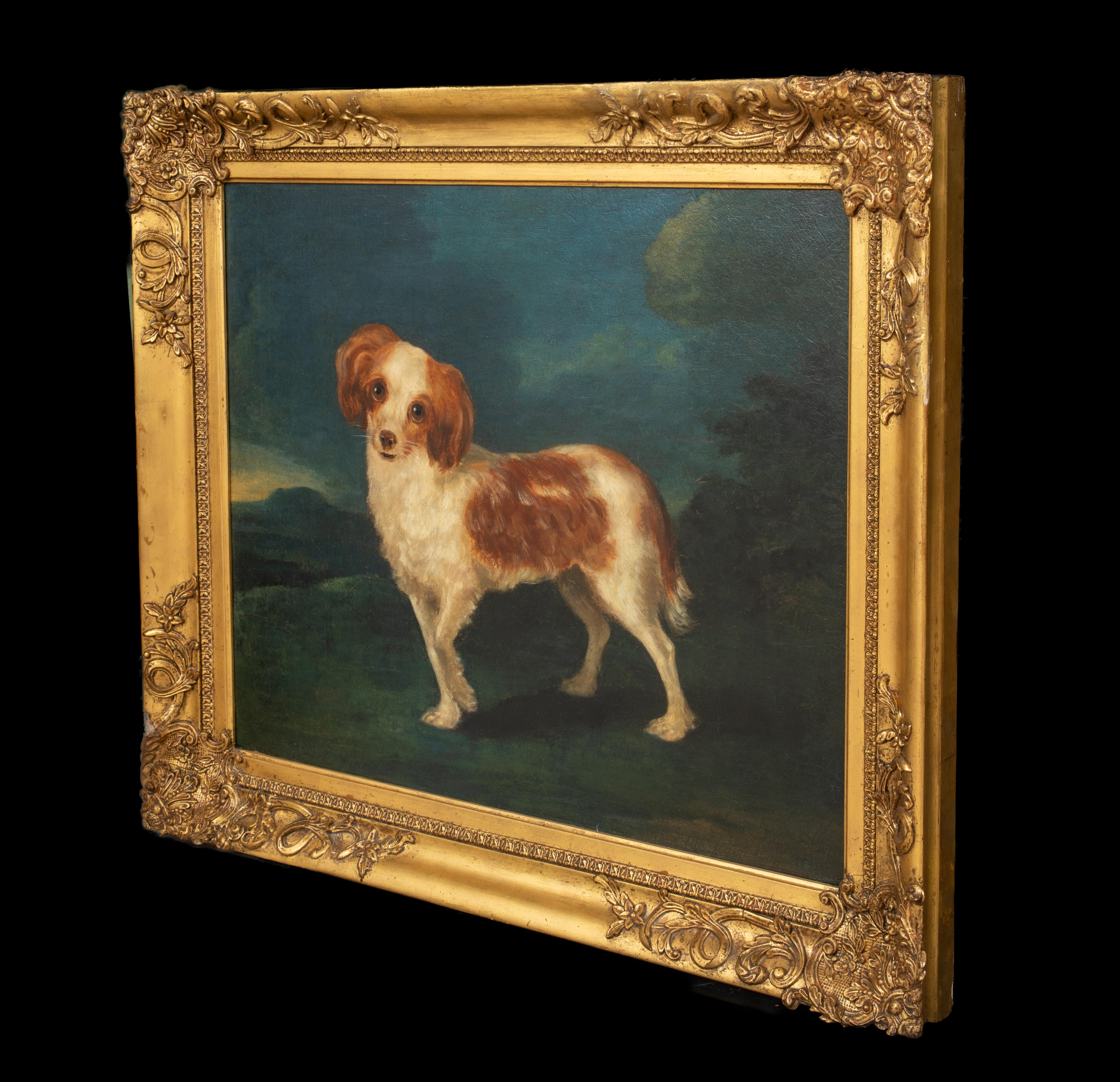 Porträt eines Königs Charles Spaniels, 18. Jahrhundert  CIRLCE OF George STUBBS im Angebot 4