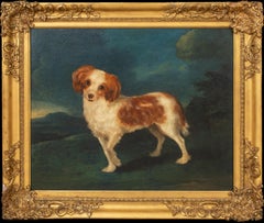 Portrait of a King Charles Spaniel, 18th Century CIRLCE OF George STUBBS