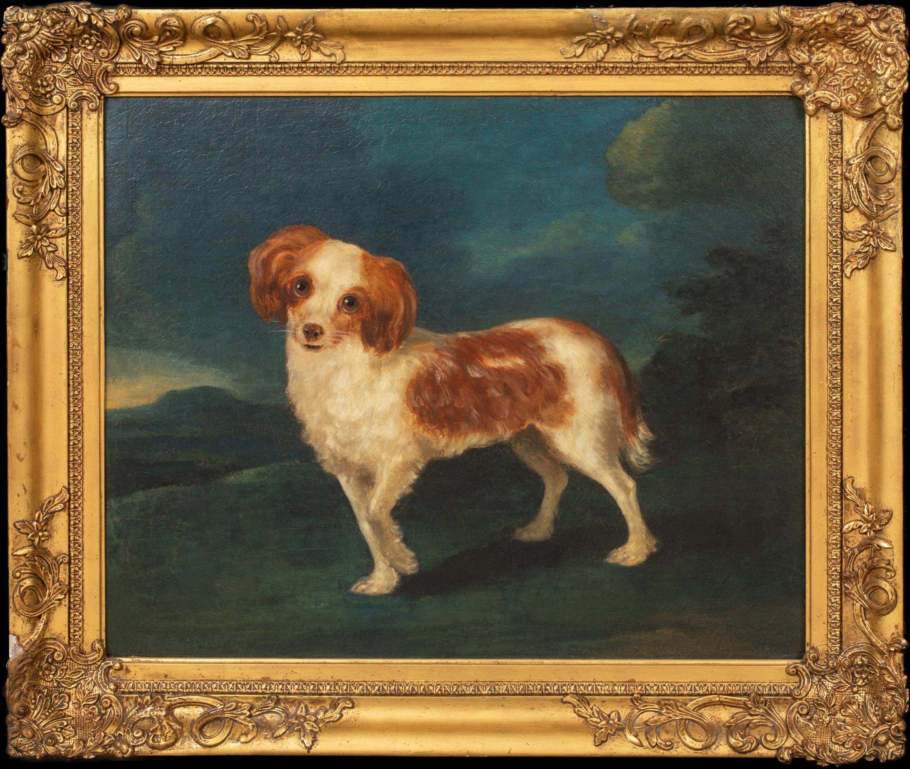 George Stubbs Animal Painting – Porträt eines Königs Charles Spaniels, 18. Jahrhundert  CIRLCE OF George STUBBS