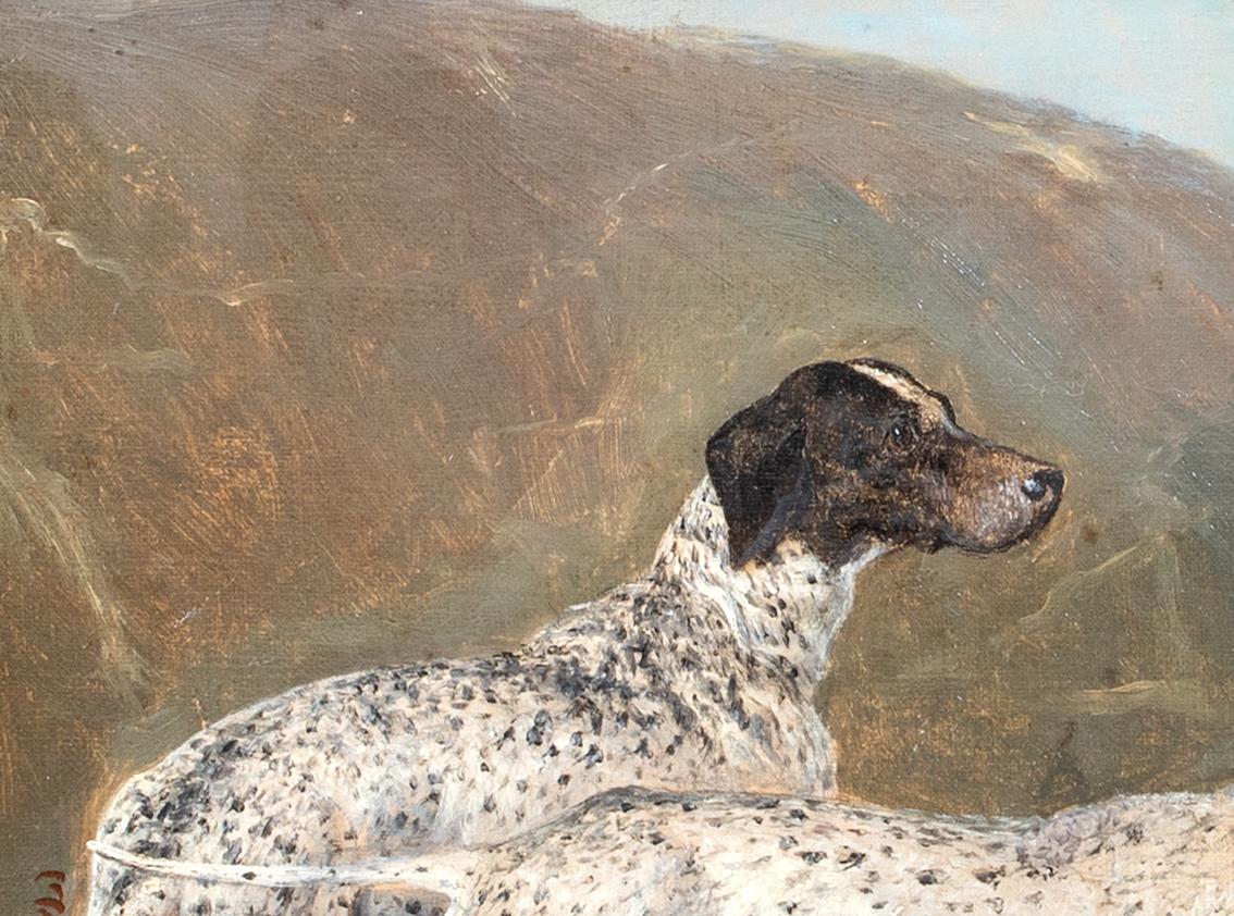 Portrait Of A Pair Of German Shorthaired Pointers, 18th/19th Century 2