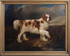 Portrait Of A Spaniel, circa 1800