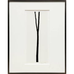 Albero #8, New Jersey