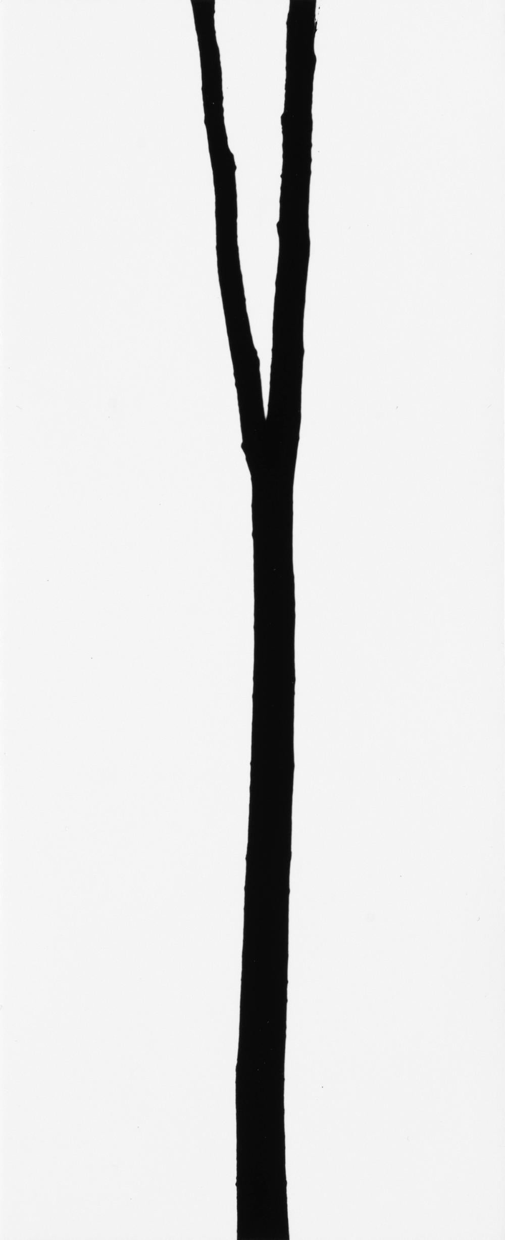 George Tice Black and White Photograph - Tree #8, New Jersey