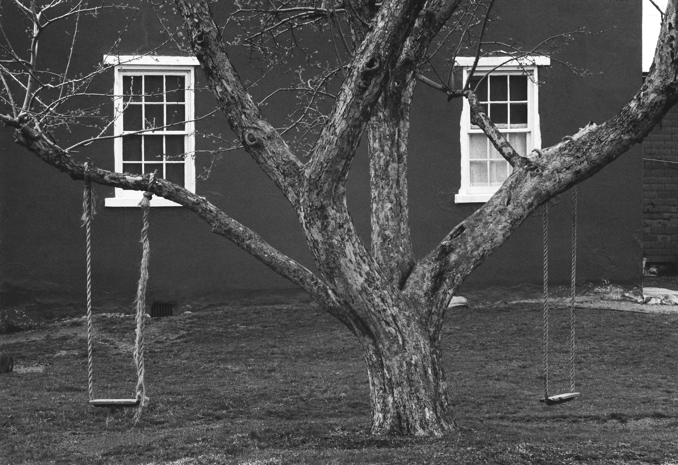 George Tice Black and White Photograph - Tree, Swings and Windows, Lancaster, Pennsylvania