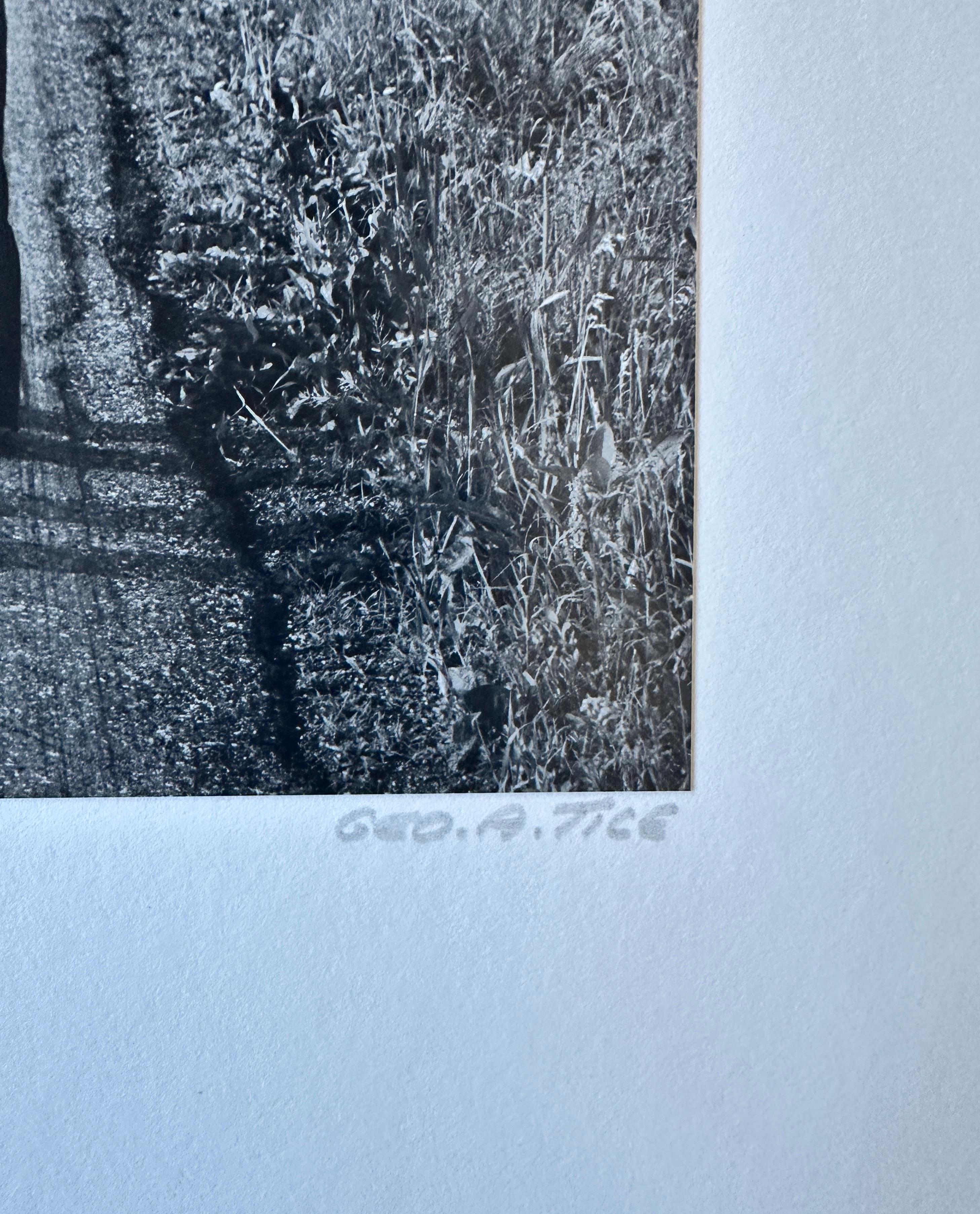 Deux garçons amish, Lancaster PA en vente 1