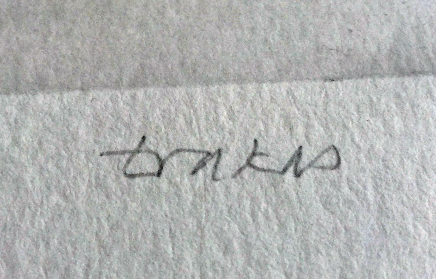 Isla de la Vista, Aguafuerte y Aguatinta Edición Firmada de X, Galería de la Universidad de Massachusetts en venta 1