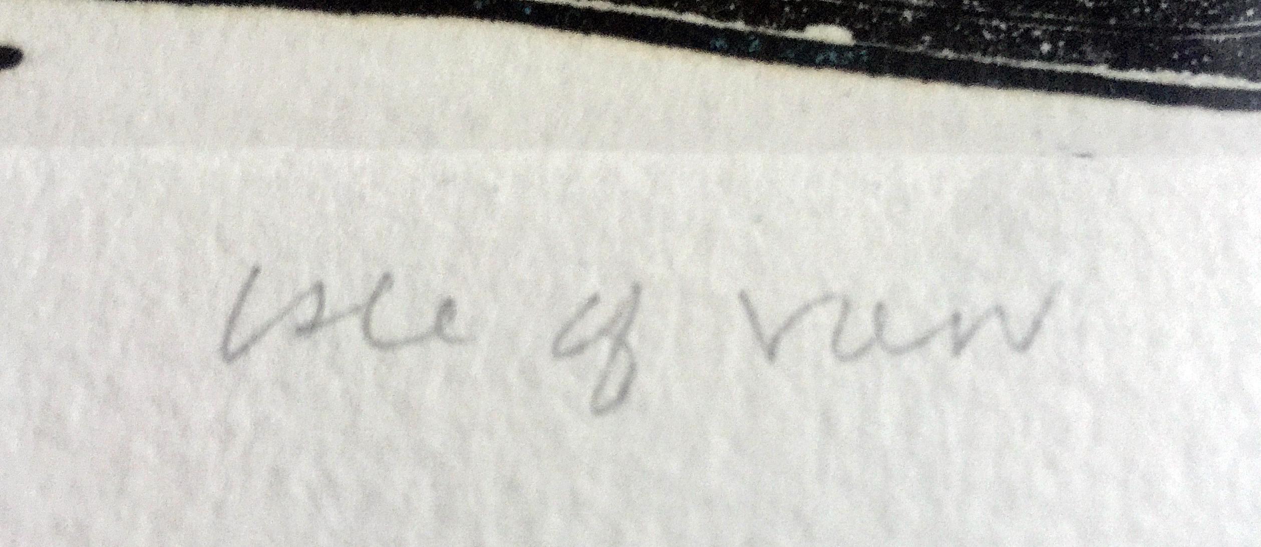 Isla de la Vista, Aguafuerte y Aguatinta Edición Firmada de X, Galería de la Universidad de Massachusetts en venta 2