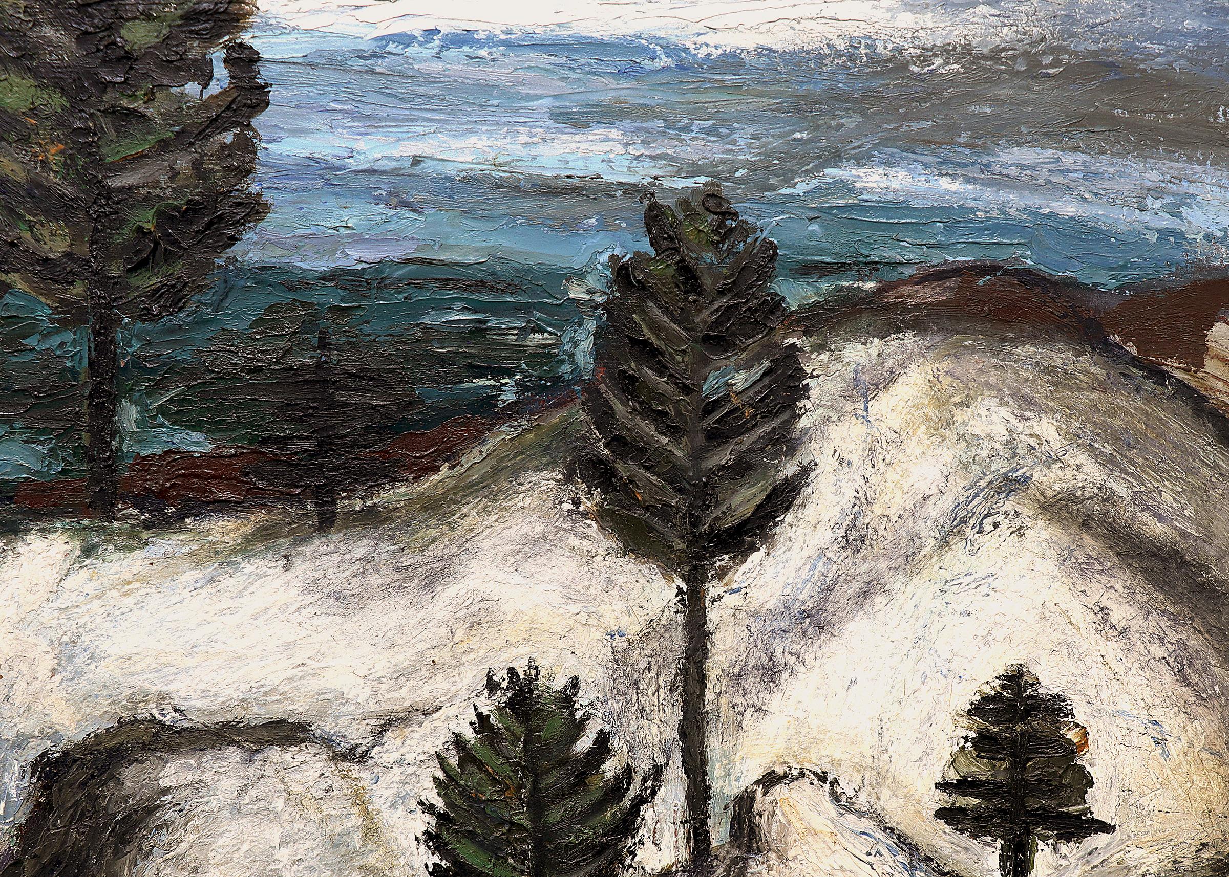 Dipinto a olio su tavola di George Vander Sluis (1915-1984) del 1946, raffigurante un paesaggio invernale del Colorado che si affaccia su una valle con massi. Dipinto nei toni del verde, blu, bianco, marrone e grigio. Firmato e datato dall'artista
