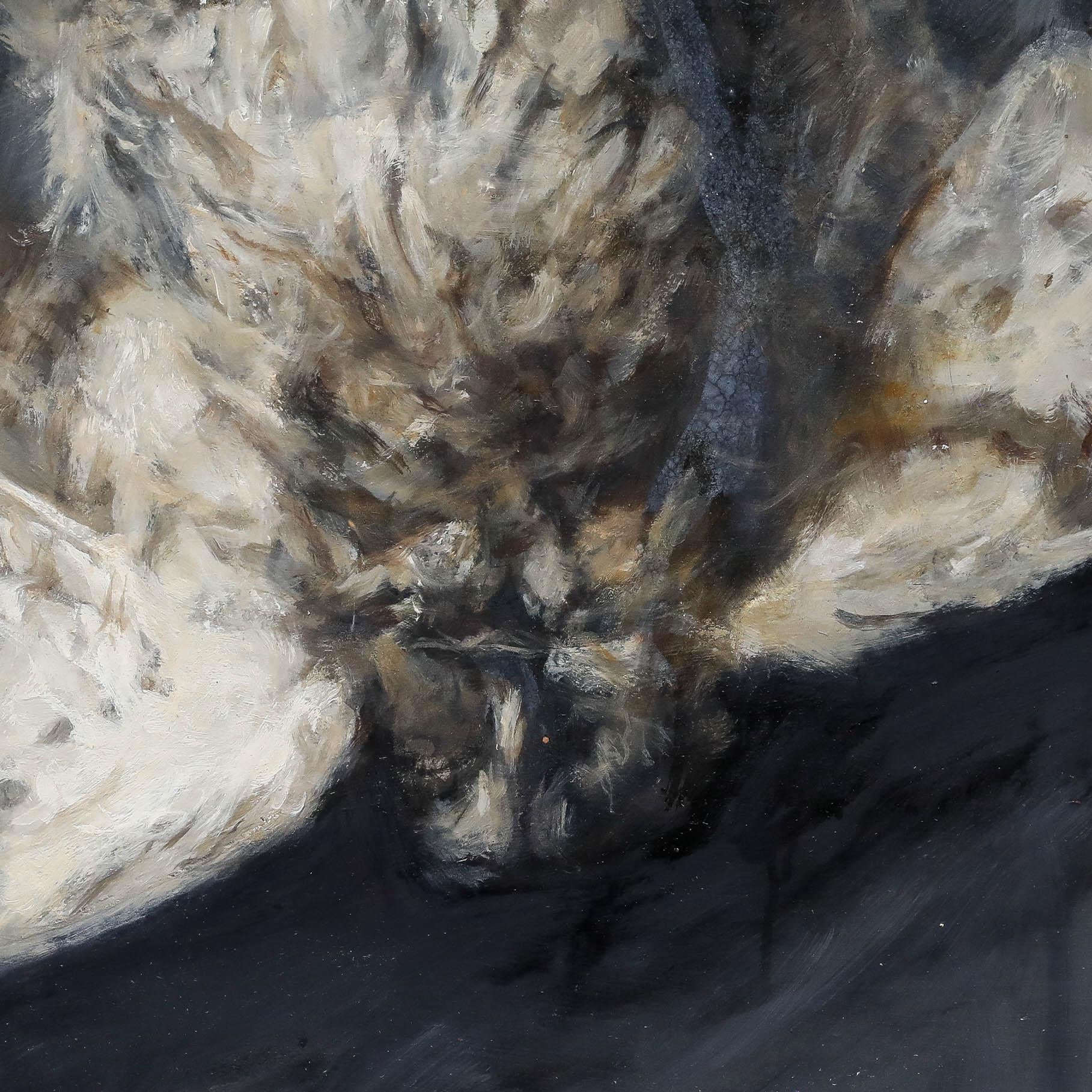 George Weissbort (1928-2013) - 20th Century Oil, Study of an Owl For Sale 3