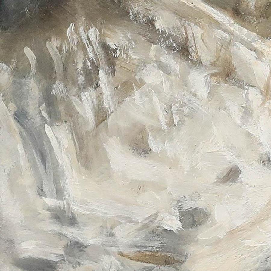 George Weissbort (1928-2013) - 20th Century Oil, Study of an Owl For Sale 4