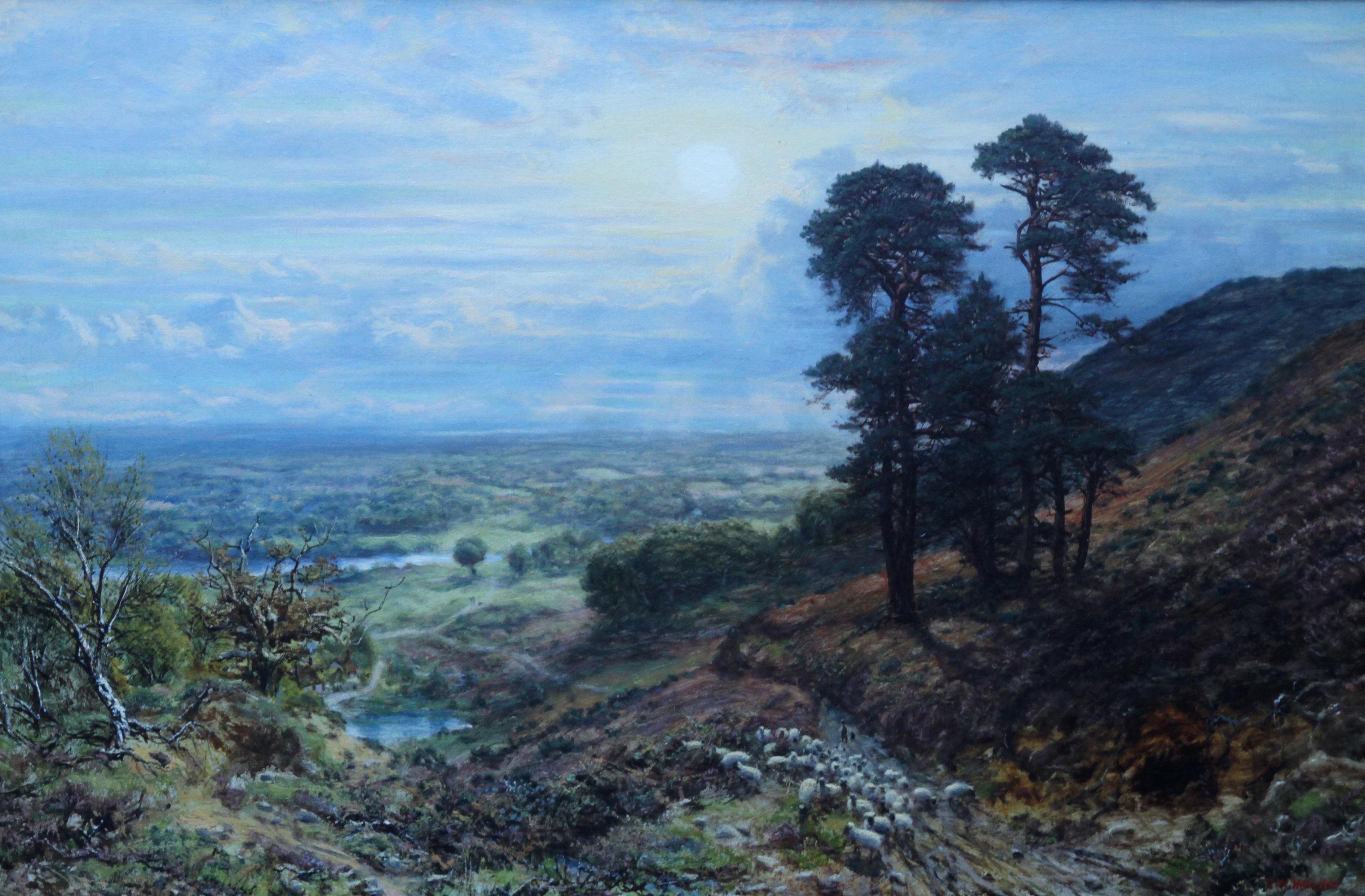 Sunset View from Coneyhurst Hill, Surrey - British 19thC landscape oil painting 4