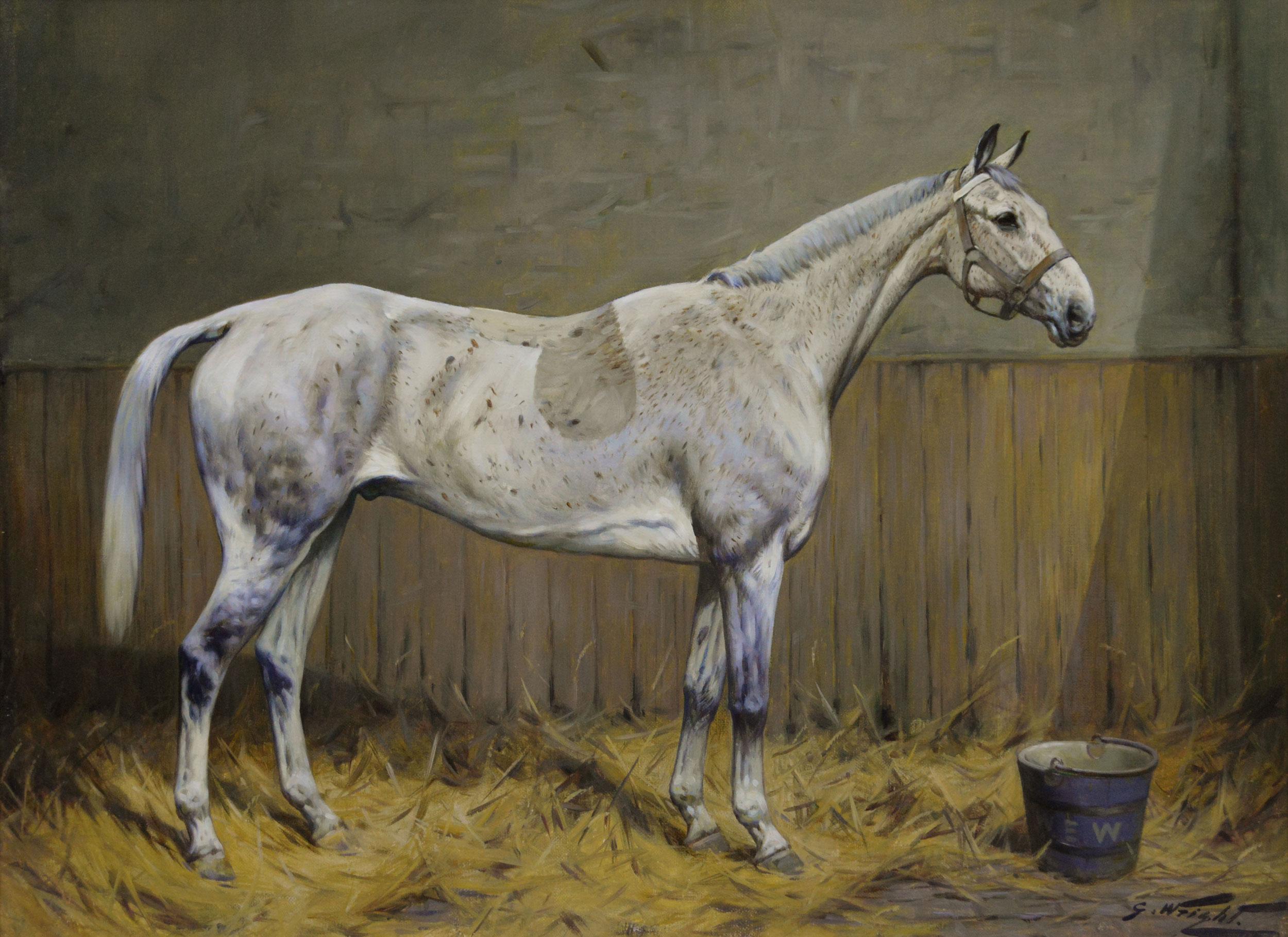 Pferdeporträt Ölgemälde eines Schimmels mit Flohbiss in einem Stall – Painting von George Wright 